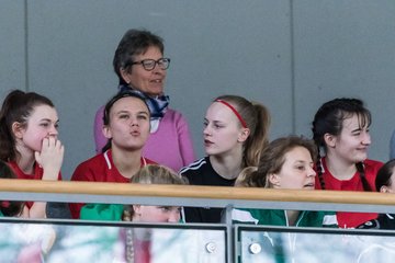 Bild 88 - Hesebeck Hallenmasters